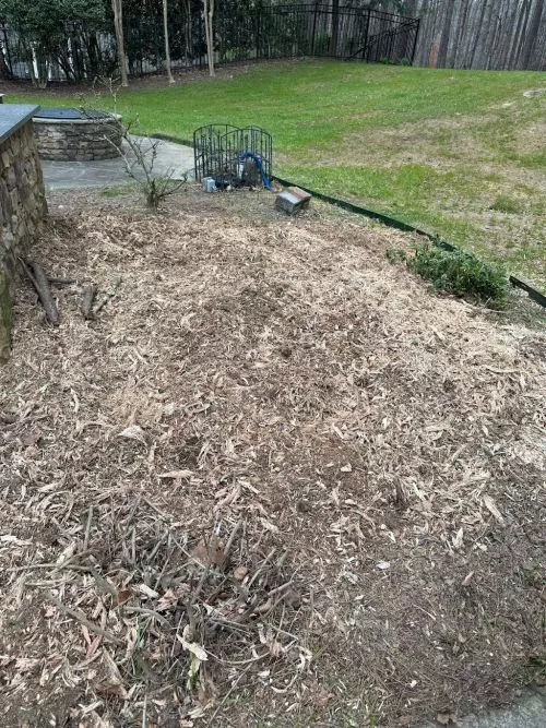 Had a tree removed from our backyard that was hanging over our home. It was a potential danger to us during storms