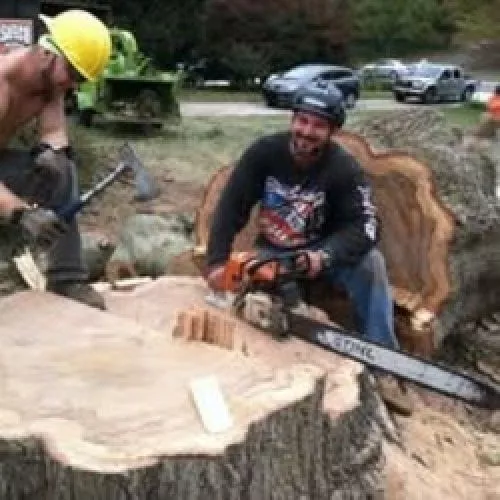 Outstanding service. Very professional. I needed 3 trees removed and one was between my storage shed and a deck with very