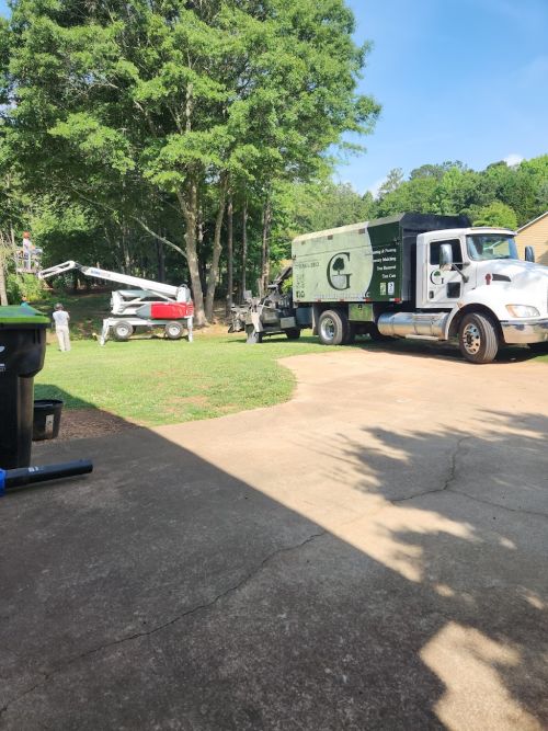  alt='Green Tree Service did outstanding work for us. The job took two days to complete'