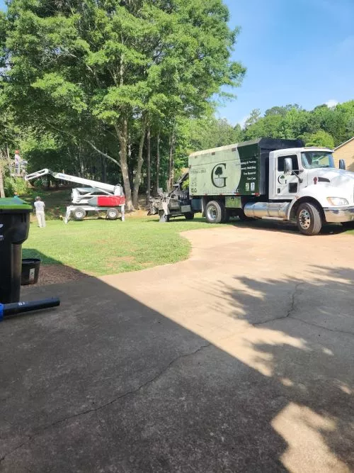 Green Tree Service is a class act. Courteous, knowledgeable employees with appropriate and updated equipment