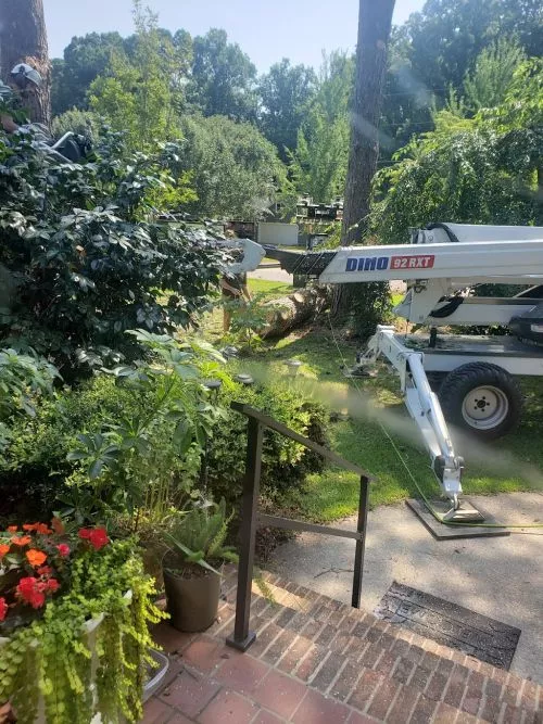 Green Tree Service did outstanding work for us. The job took two days to complete
