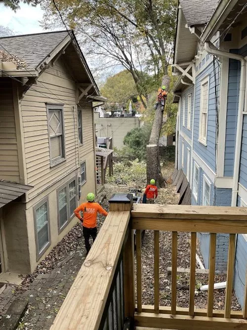 The team was great!!! Very professional and cleaned/removed all debris thoroughly. We will call them again for future work