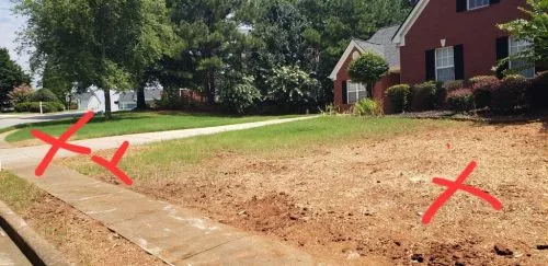 Excellent service. Spartan Tree Services is very professional, punctual, and careful with their work