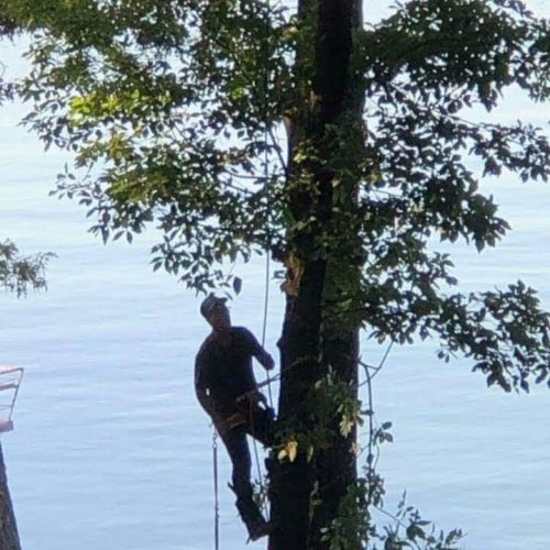  alt='Excellent value and service'