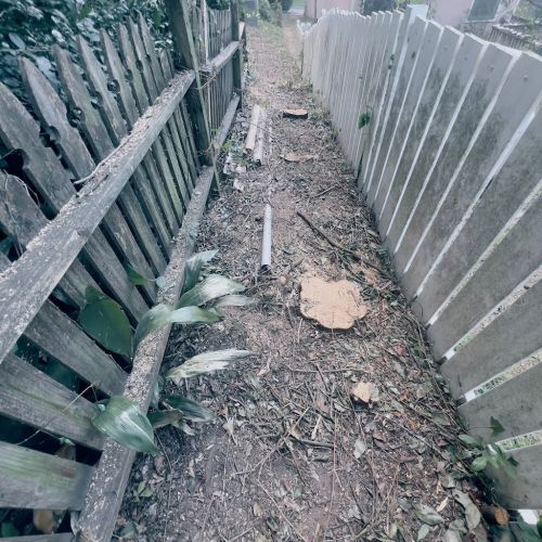  alt='Matias Tree Service did a phenomenal job—precise, professional, and organized'