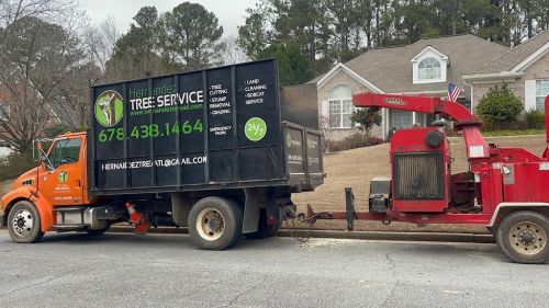  alt='Armando and his crew did excellent work removing large old stubborn trees and limbs. The crew was prompt and professional'