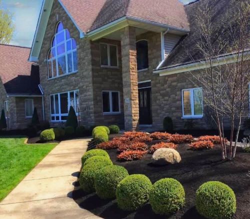  alt='Osmin and his team did an outstanding job transforming our yard'