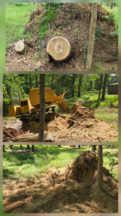  alt='Yelton Unlimited is a Top Notch Company, I was searching for someone who could remove a cluster of trees to install a'