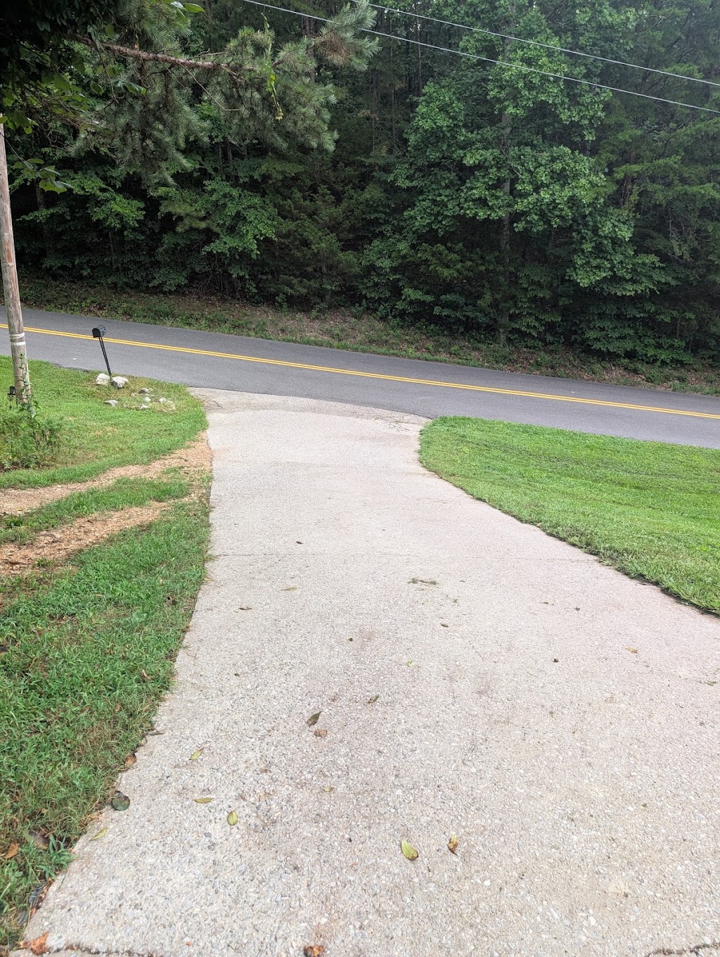 This company has been doing my lawn work for years. Awesome job and great prices