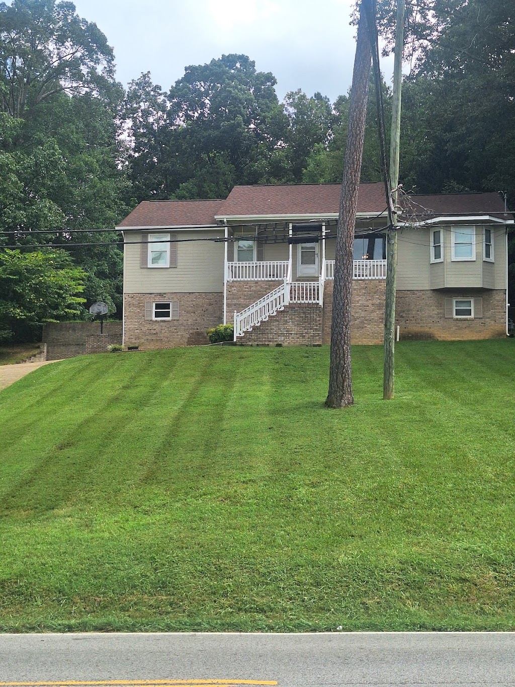 Used their services to clear out a yard. They went above and beyond with what they were working with