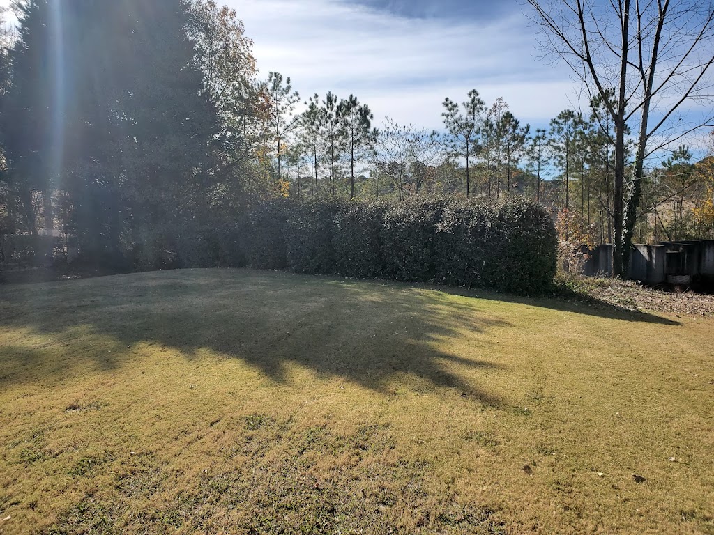 Thomas Affordable Lawn Care LLC was very professional and quick. He did great work on the lawn and his prices are great !!!!