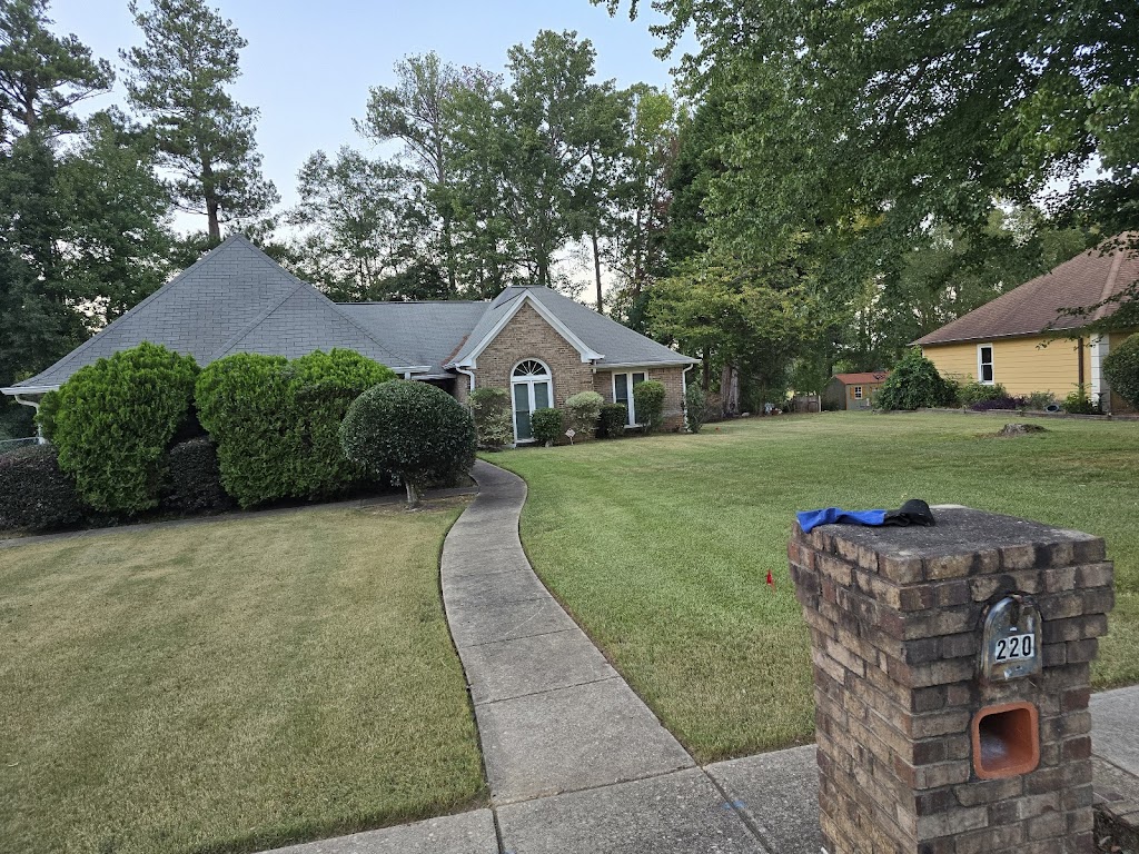 Thomas did an amazing Job I saw him cutting someones grass and stopped him he came and gave me an estimate and did my yard