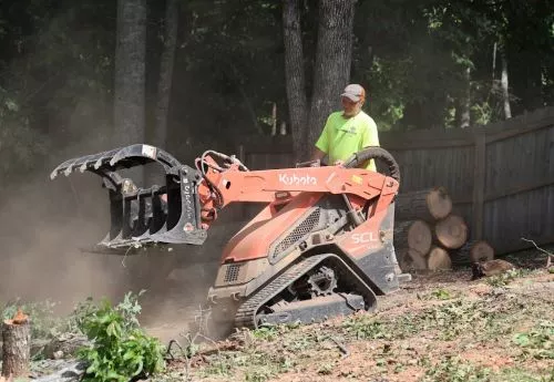 Robbie Duffy and his talented crew did an outstanding job of removing some big trees close to our house