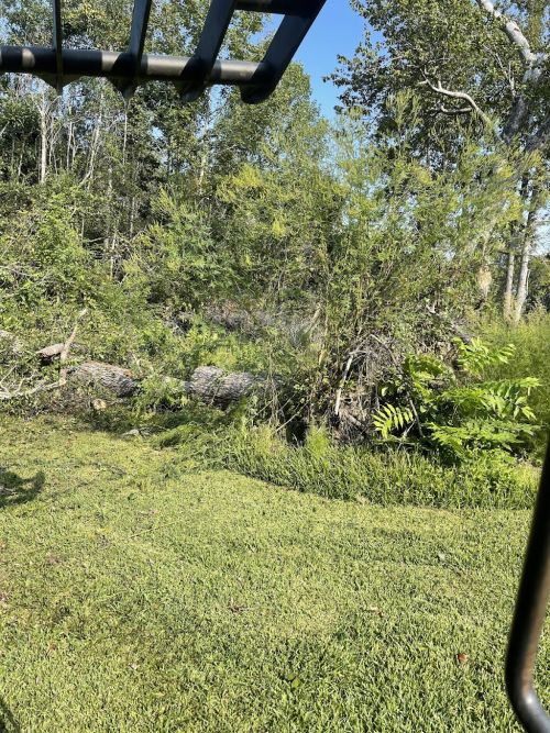  alt='great job, reasonable price. things get done quickly, thank you very recommended!'