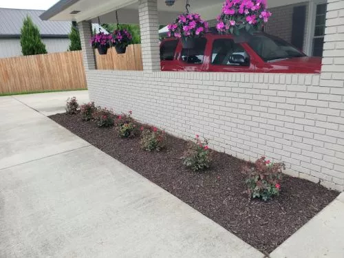 Jon has been taking care of my yard for over 2 years and I have been thrilled