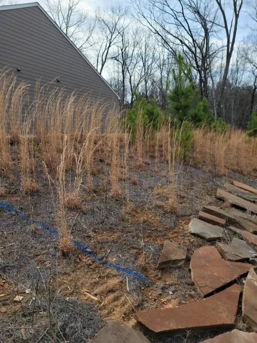 They were absolutely wonderful! We needed an overhaul on our yard and they offered a reasonable price, were on time,