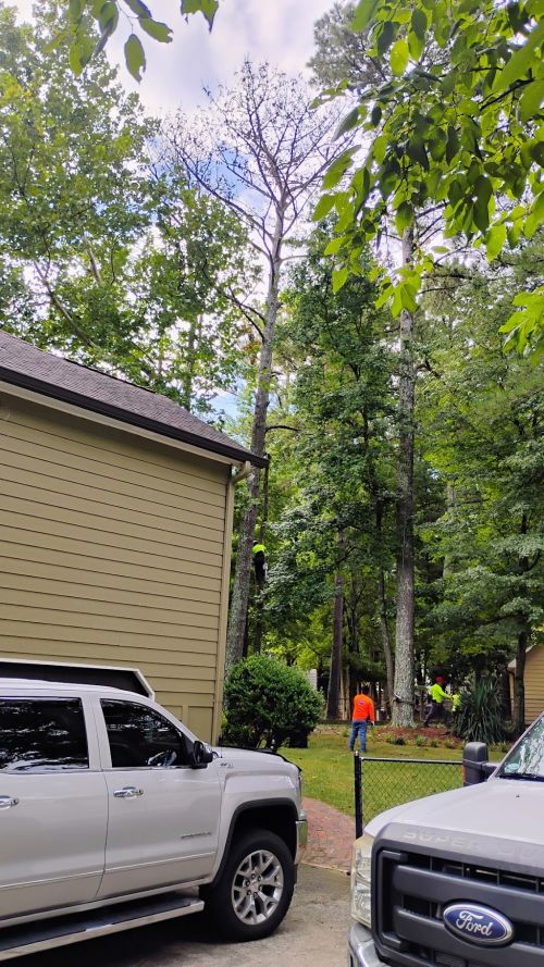  alt='Josh and his crew are careful and have extreme attention to detail'