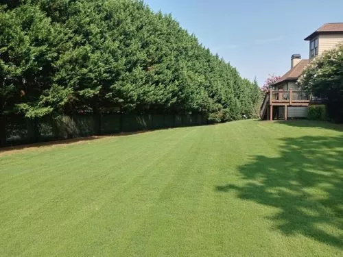 I"ve been using TLC for years. They do a great job. Used them for seeding, trimming, lawn treatments, and recently a major