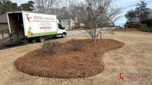 Lonnie and his team are fantastic. I am a bit over zealous when it comes to maintaining my lawn