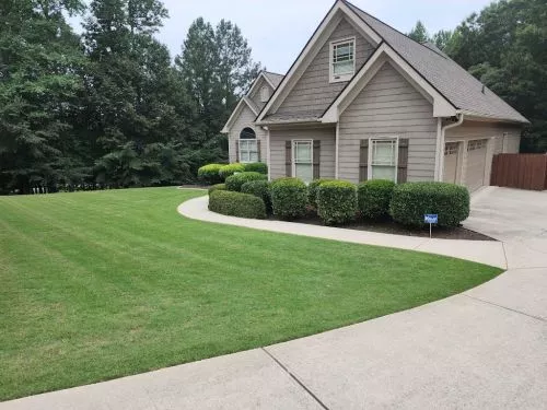 The guys at Total Lawn Care are the best!! They have turned my once weed infested lawn and overgrown flowerbeds into an