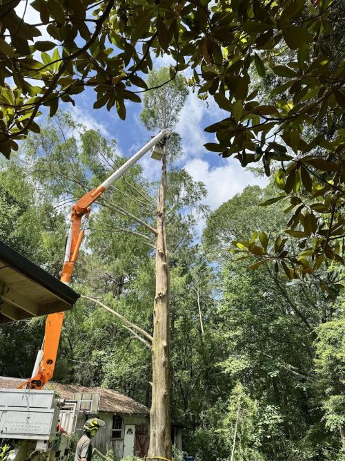  alt='Cannot say enough positive things about E3 Land Management! My wife Marie and I were very impressed as well as pleased with'