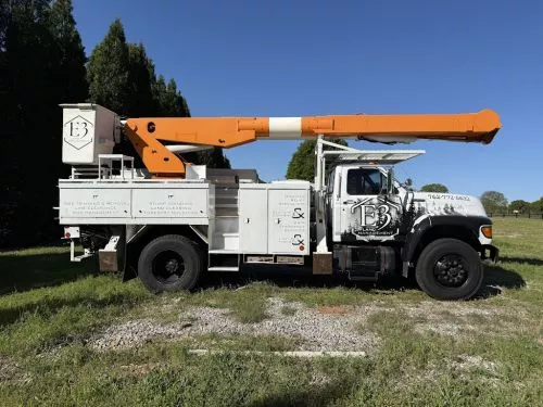 I needed several large trees removed from my yard and found E3 Land Management online
