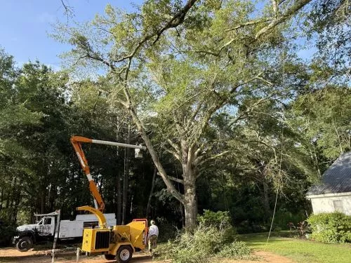 My husband and I bought a piece of land last year to build our forever home, and truly couldn’t have done it without Ervin