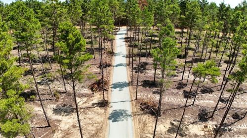  alt='M4 Outdoor services LLC Are the best they came to my home in Bronwood cleared out my property lines took down some tree'