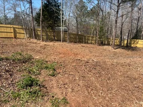 On time and quickly done. He got into places I didn"t think anyone could