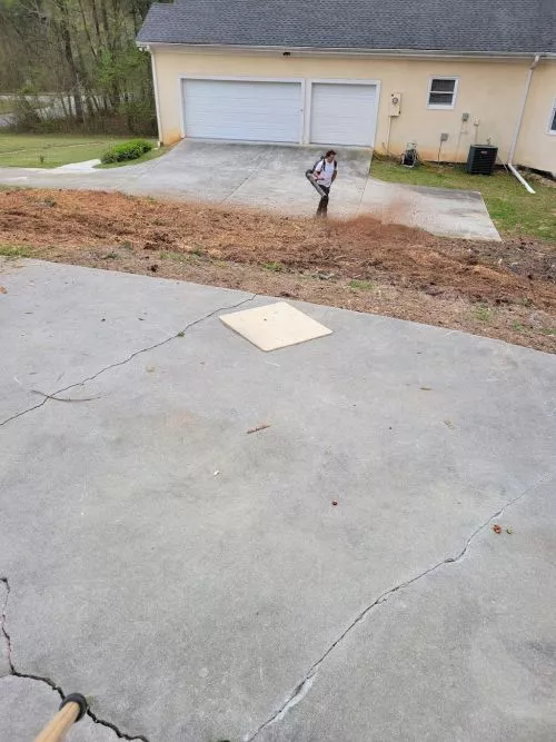 I highly recommend Readi"s Stump Services. I had over 15 stumps that needed to be grinded. Readi was punctual and efficient