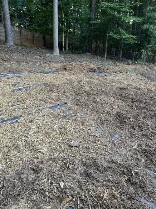 Highly recommended! Took out a huge stump from my property, and left everything clean