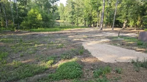 Jake did a fantastic job with our post Helene clean up. He made short work of a dozen tree stumps, a huge pile of debris,