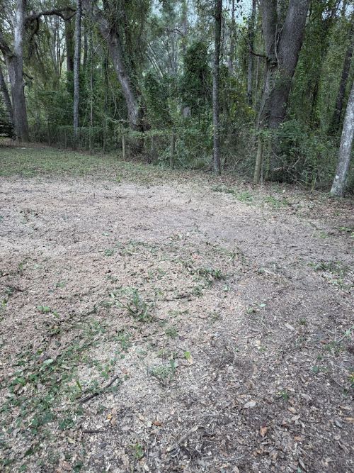  alt='Okefenokee Land Management does amazing work! They take great pride in every job from lawn care to stump grinding and it'