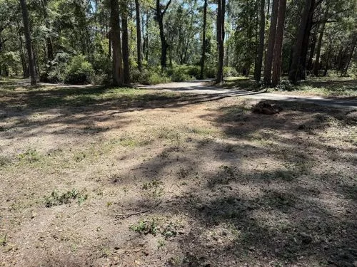 Kory with Okefenokee Land Management does an awesome job. Super easy to work with, shows up when he says he will, and gets