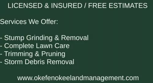 Highly recommend Kory for any stump Grinding project you may need, very professional to communicate with from start to