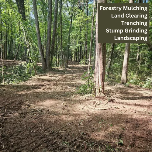 Cleared 1. 5 acres with a forestry mulching machine and did an amazing job