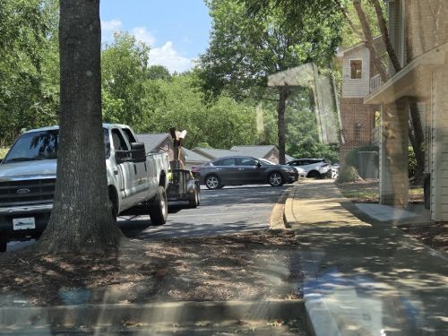  alt='New River is wonderful. They came to my home and did a huge spring clean up'