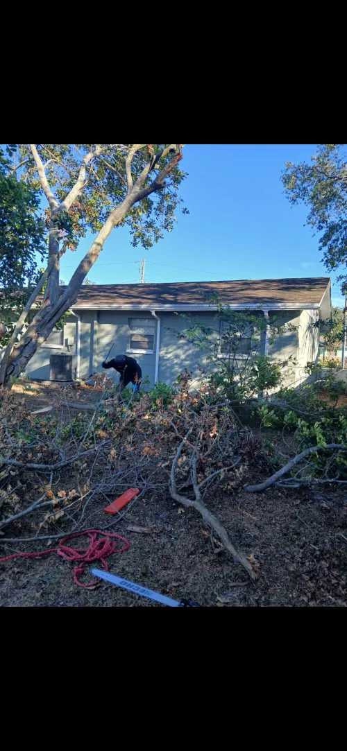 “I had an excellent experience with Integrity land cleaning and demolition