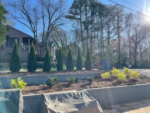 Eddie and his team are great. I use them for my regular lawn maintenance and had them do a larger project