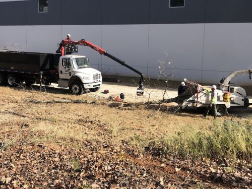  alt='Just had them here yesterday to remove two trees.  They did an excellent job.  All of the crew couldn’t have been nicer'