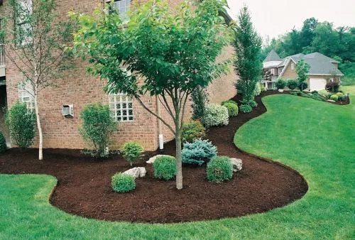 Tom installed flower beds and maintains our property. We love the black mulch installation and the gutter clean-outs. 