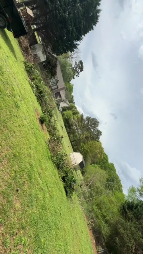 Great job on the mowing and tree trimming. 