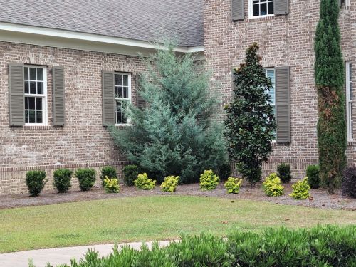  alt='Colonial Landscapes has been the best and most consistent landscaping company I have ever dealt with'