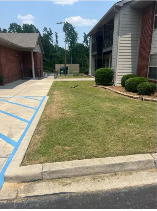 These gentlemen showed up when they said they would, they were very nice, and they did a great job mowing my yard