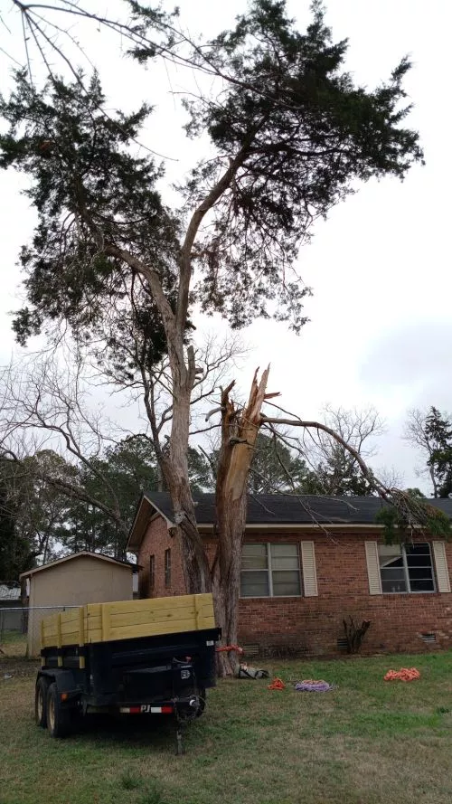 Extremely satisfied with the service provided!! They worked hard and did everything and a little more than originally