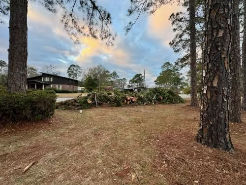 Their work is meticulous. Very polite Prices are very fair. You won"t be disappointed. 