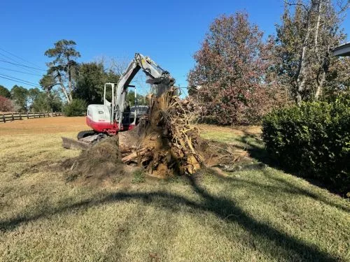 Excellent work! Attention to detail. Highly recommend!!