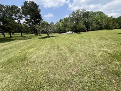 Mason Worx did such a great job on my yard! They were super easy to work with, communicated well, and got everything done