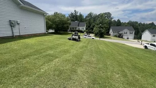 As much as I try to do my own yard work, sometimes I can’t get around to it or leave it to a little too long and need some