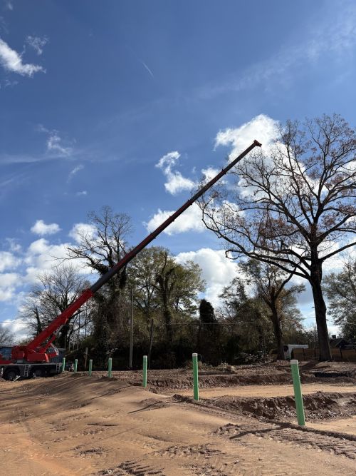  alt='Southern Arbor Source did a fantastic job removing trees and overhanging limbs on my property'
